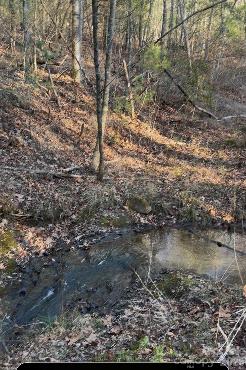 00 Tarlton Drive Taylorsville NC 28681