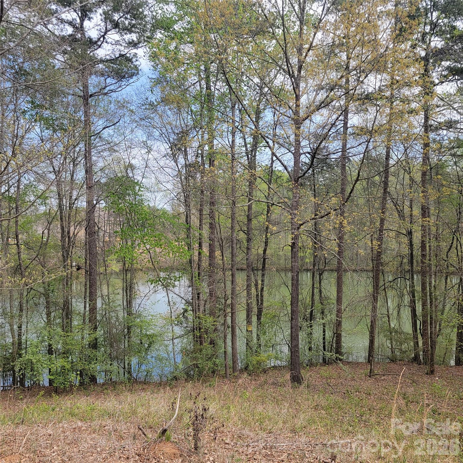 230 Walnut Street Belmont NC 28012