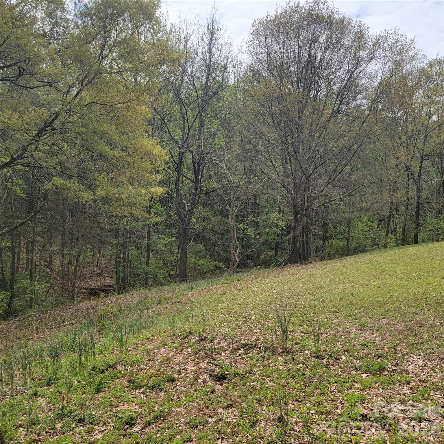 230 Walnut Street Belmont NC 28012