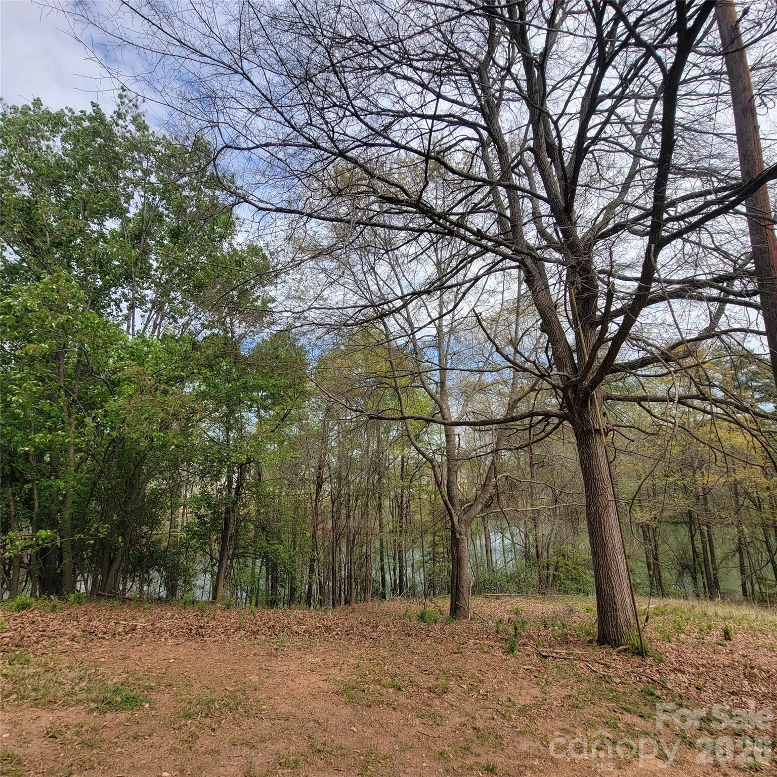 230 Walnut Street Belmont NC 28012