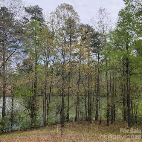 230 Walnut Street Belmont NC 28012