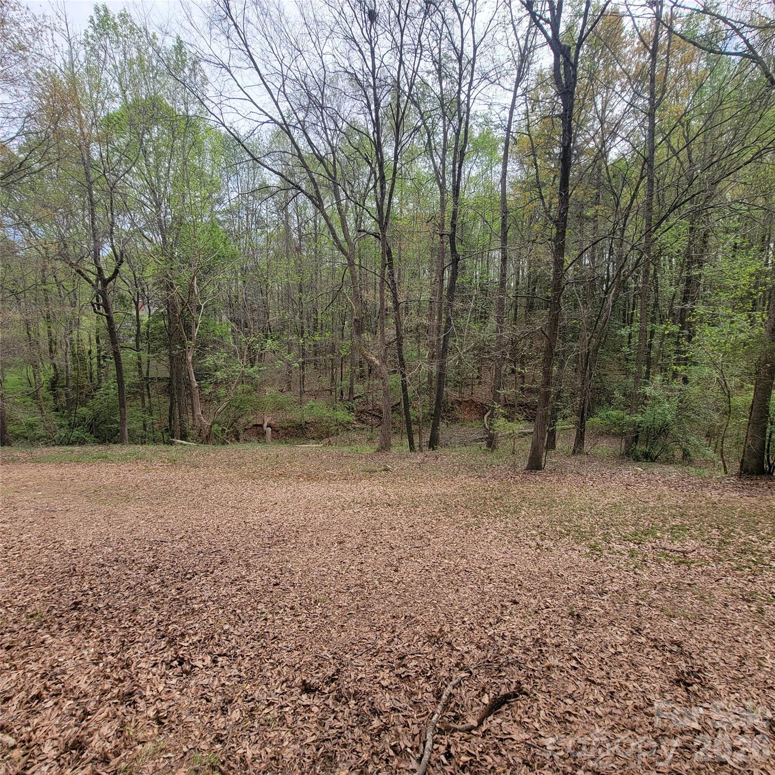 230 Walnut Street Belmont NC 28012