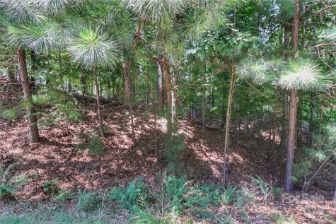 496 Kenway Loop Mooresville NC 28117