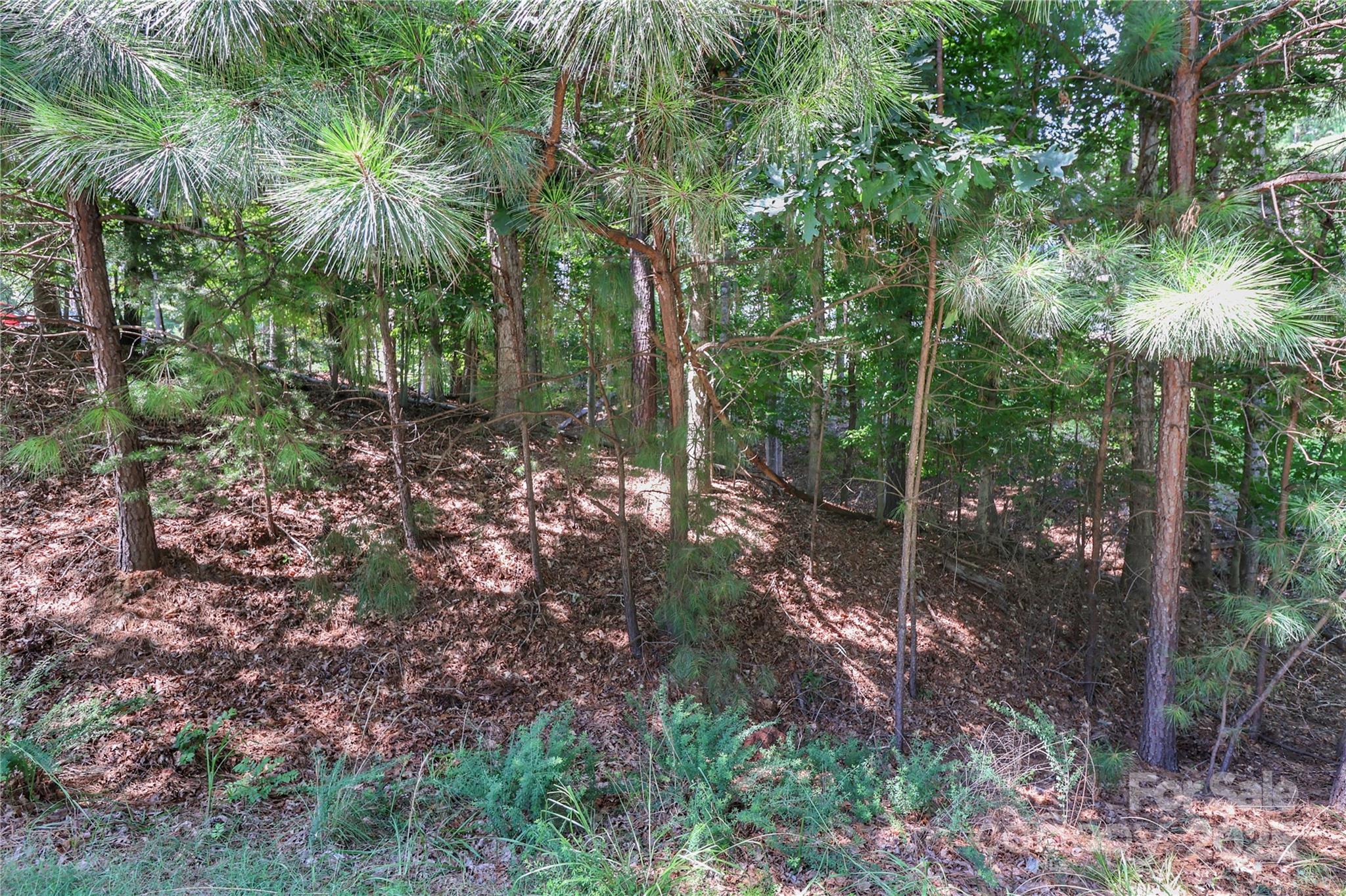 496 Kenway Loop Mooresville NC 28117
