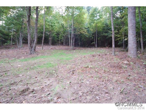 92 Gobbler Ridge Drive Arden NC 28704