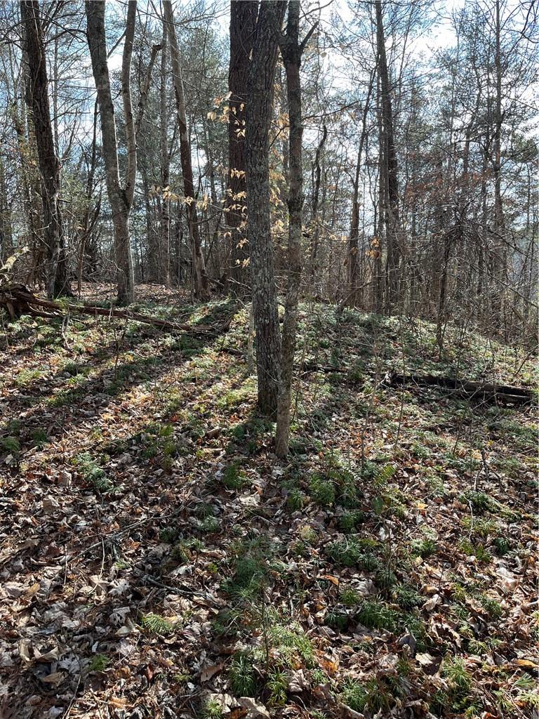 999b Sams Crossing Mars Hill NC 28754