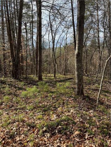 999b Sams Crossing Mars Hill NC 28754