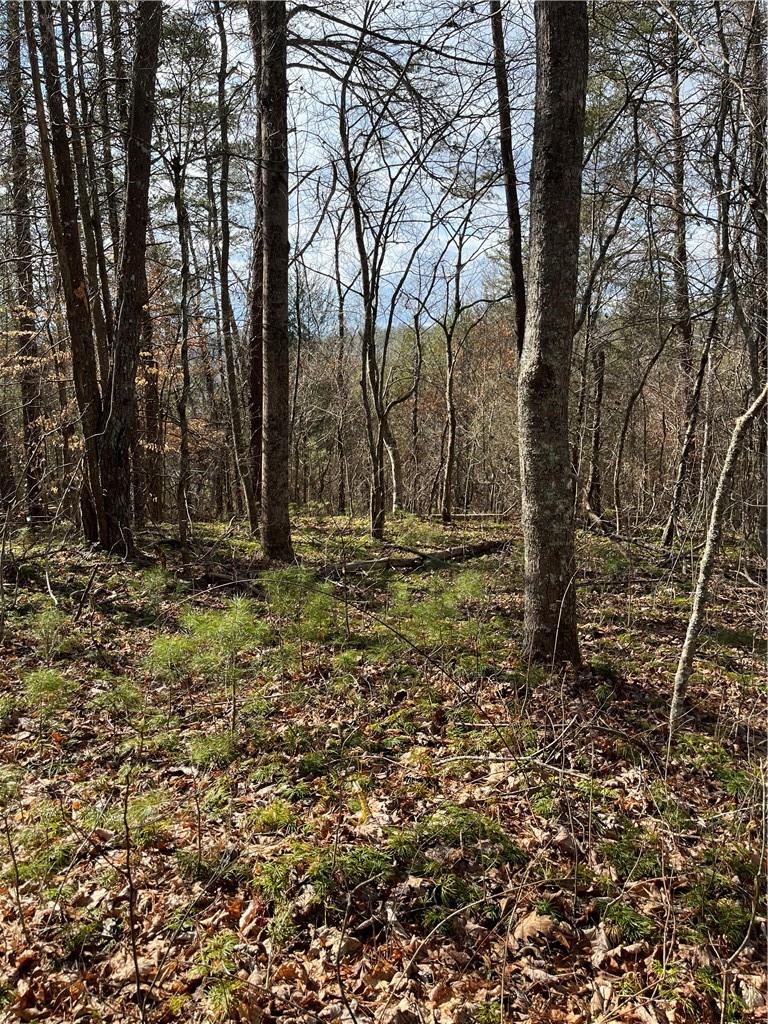 999b Sams Crossing Mars Hill NC 28754