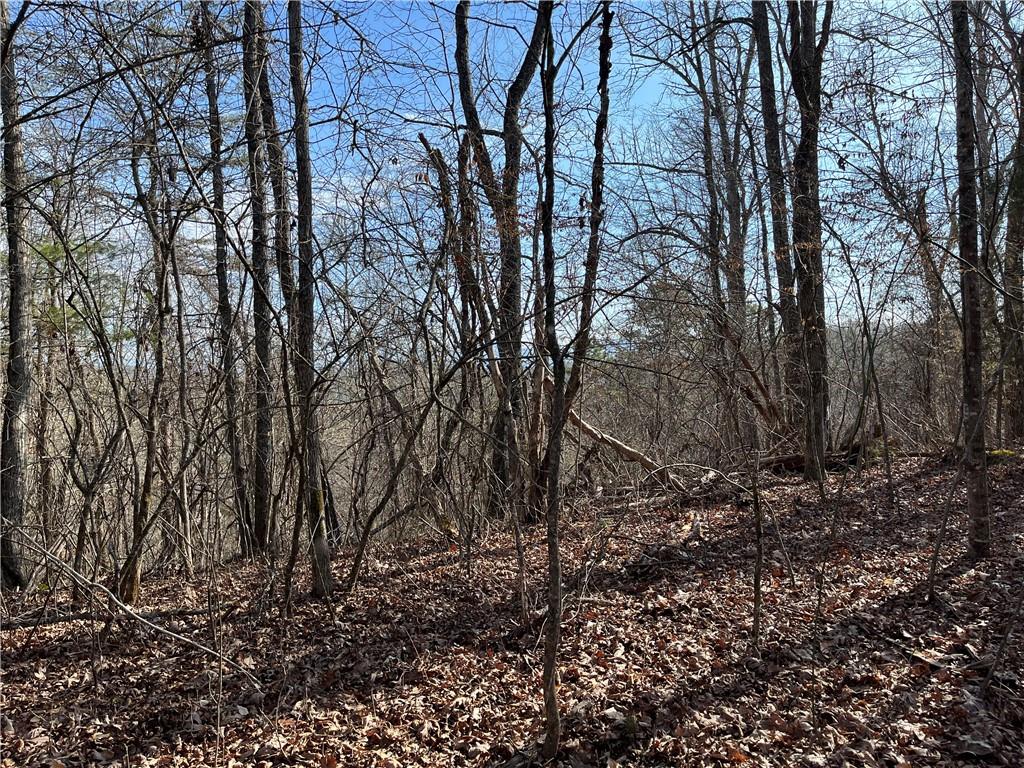 999b Sams Crossing Mars Hill NC 28754