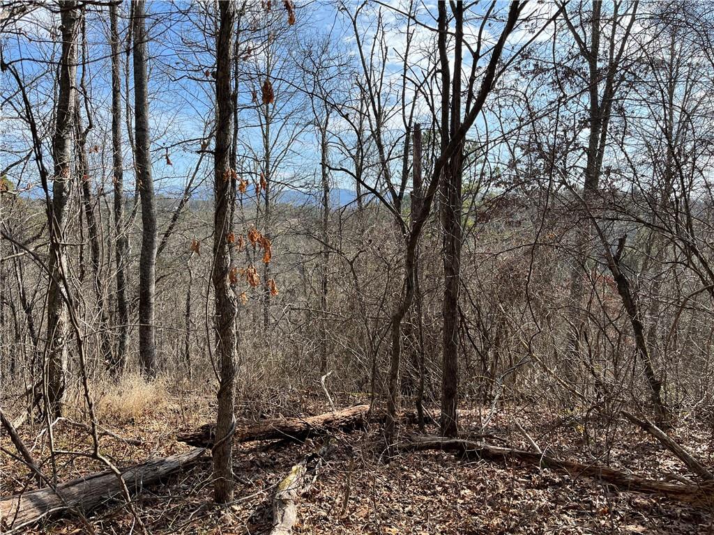 999b Sams Crossing Mars Hill NC 28754