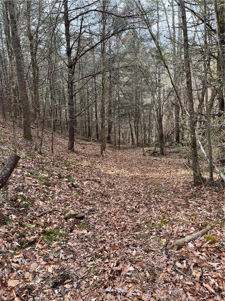 999b Sams Crossing Mars Hill NC 28754