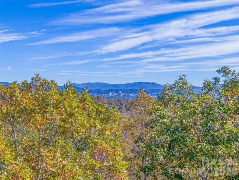 17 Denali Drive Asheville NC 28806