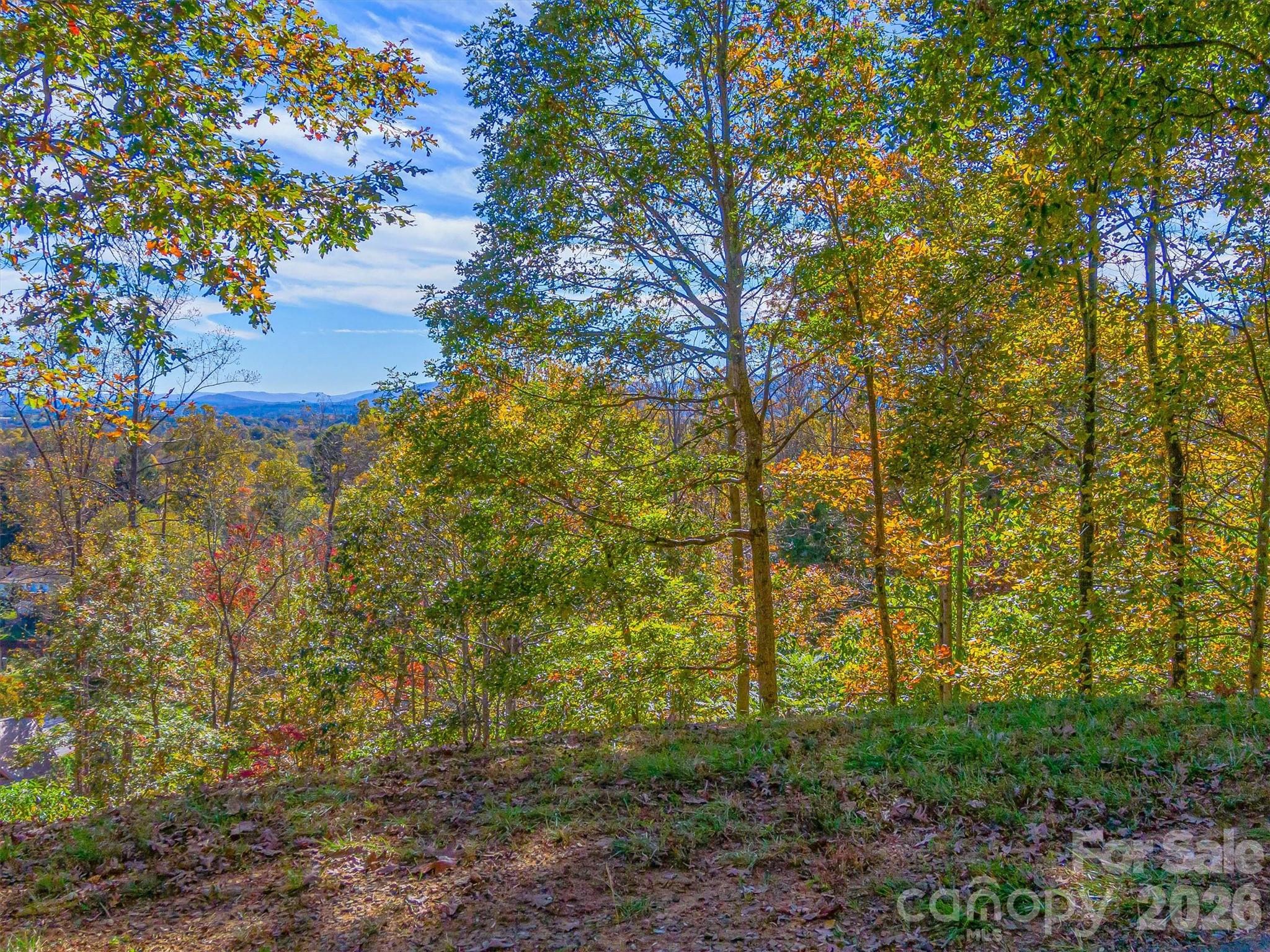 17 Denali Drive Asheville NC 28806