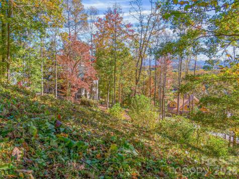 17 Denali Drive Asheville NC 28806