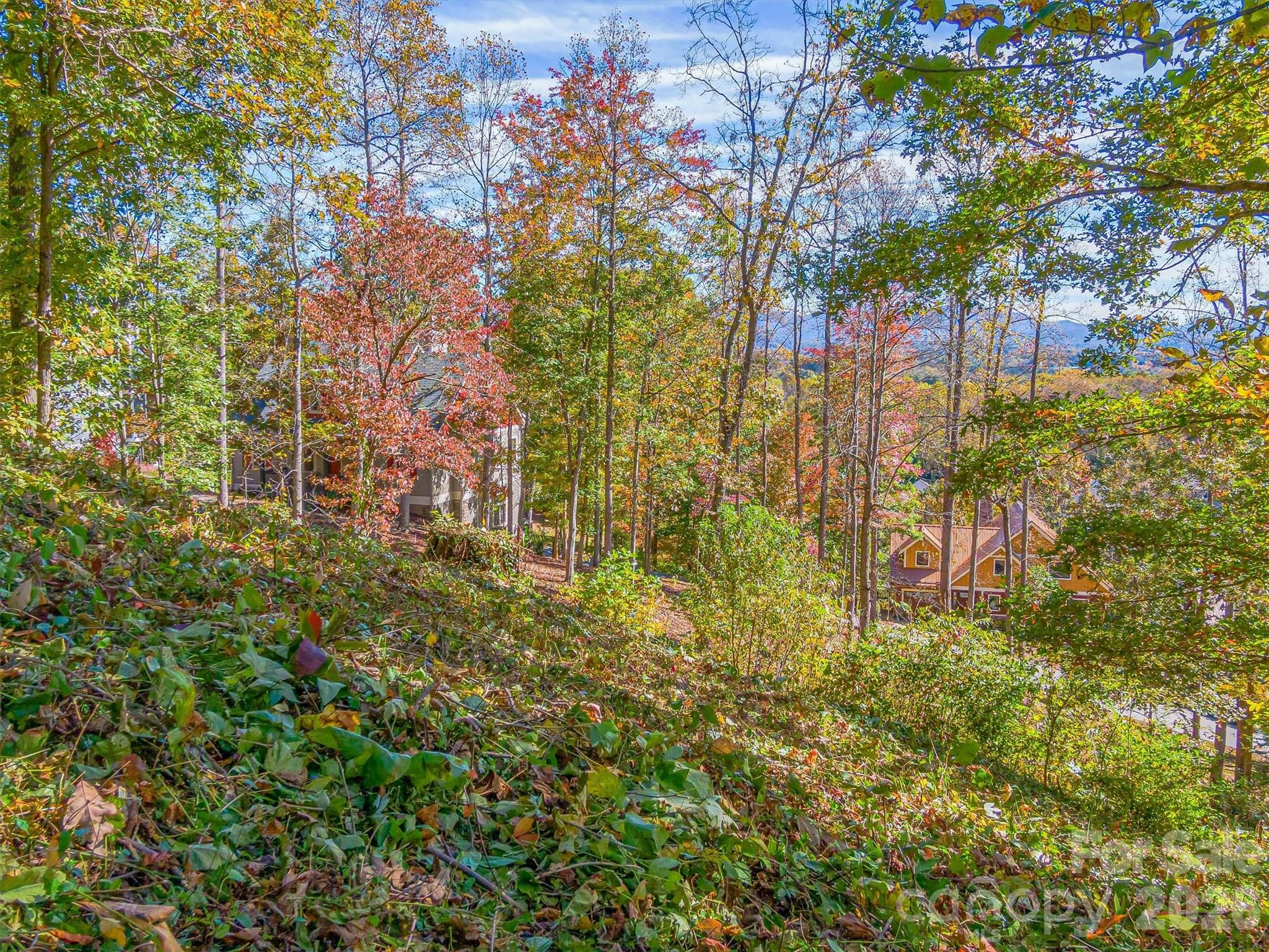 17 Denali Drive Asheville NC 28806