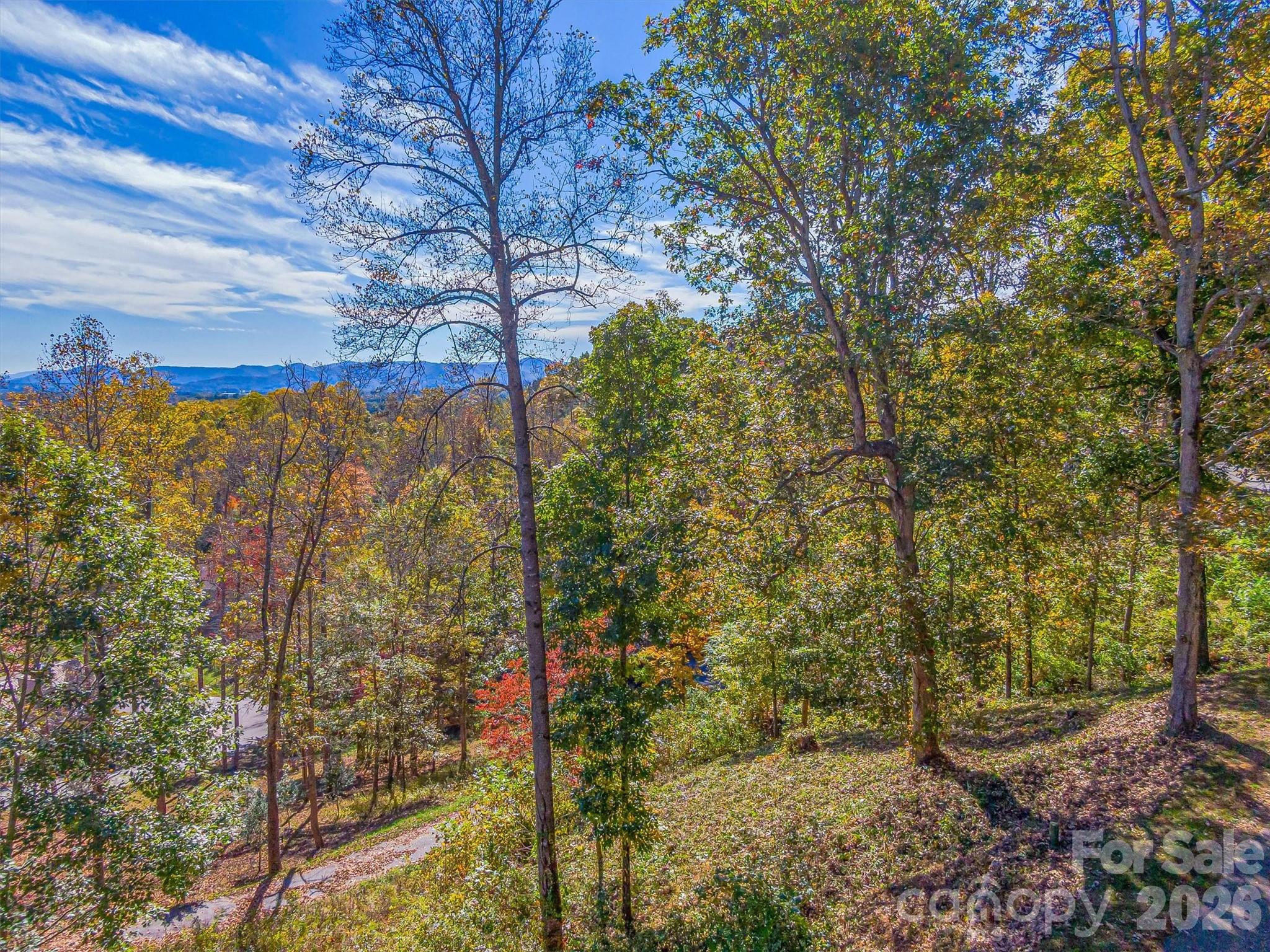 17 Denali Drive Asheville NC 28806