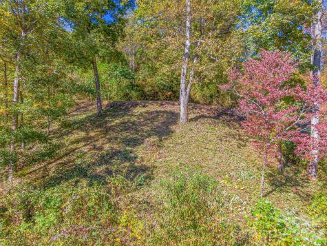 17 Denali Drive Asheville NC 28806