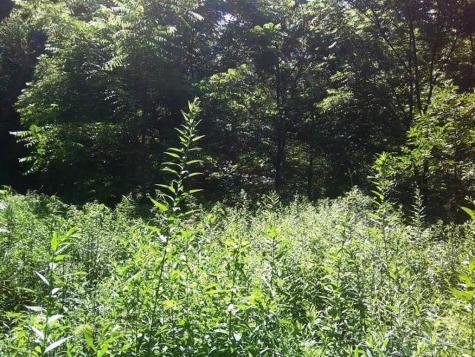 3771 Us Highway 421 Highway N Vilas NC 28692