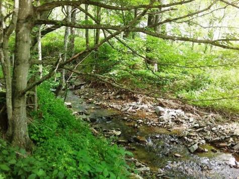 3771 Us Highway 421 Highway N Vilas NC 28692