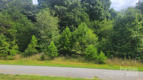 0 Eva Court Lincolnton NC 28092