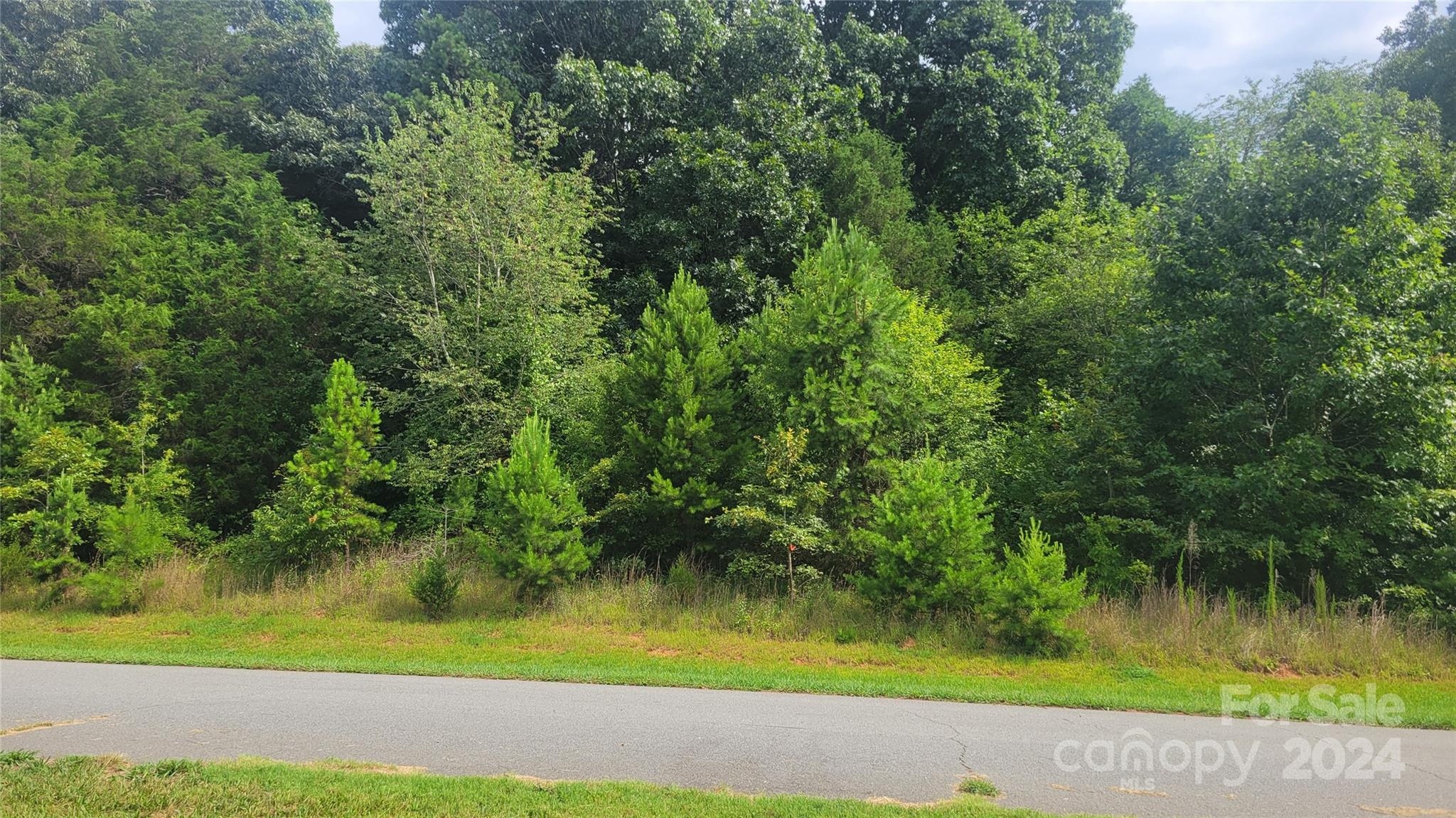 0 Eva Court Lincolnton NC 28092