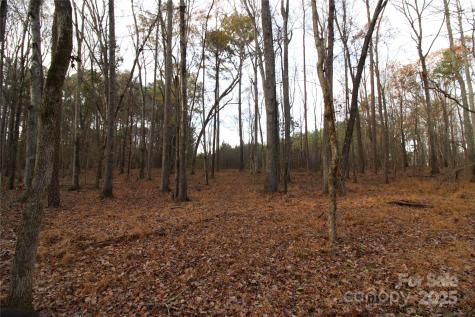 14.5+/-AC Pioneer Road York SC 29745