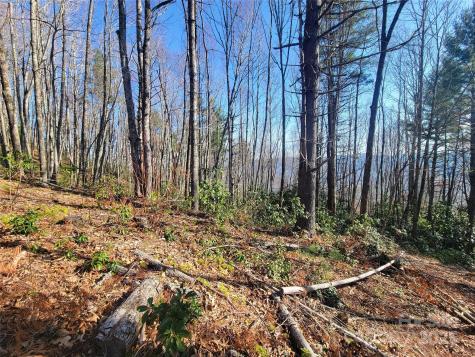 111 Digging Seng Trail Waynesville NC 28785