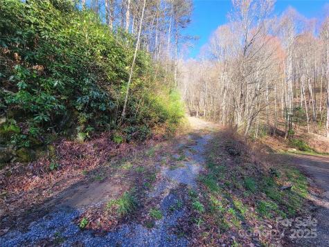 111 Digging Seng Trail Waynesville NC 28785