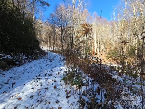 111 Digging Seng Trail Waynesville NC 28785