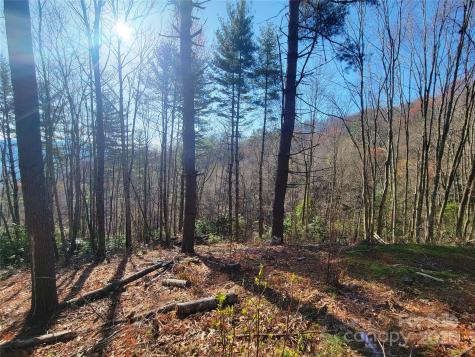 111 Digging Seng Trail Waynesville NC 28785
