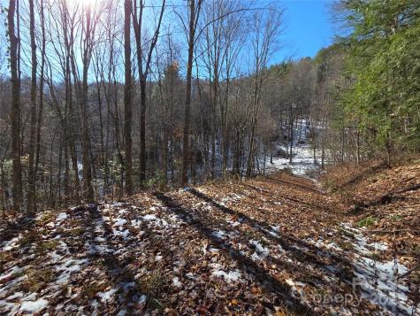 111 Digging Seng Trail Waynesville NC 28785