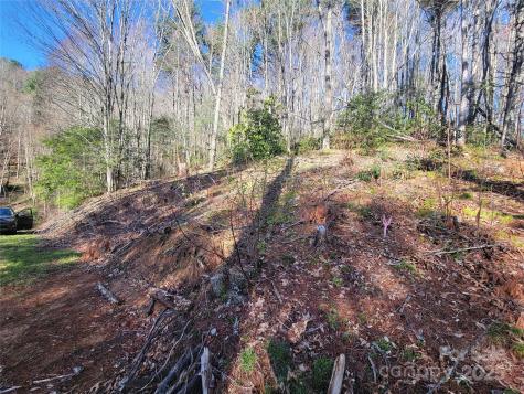 111 Digging Seng Trail Waynesville NC 28785