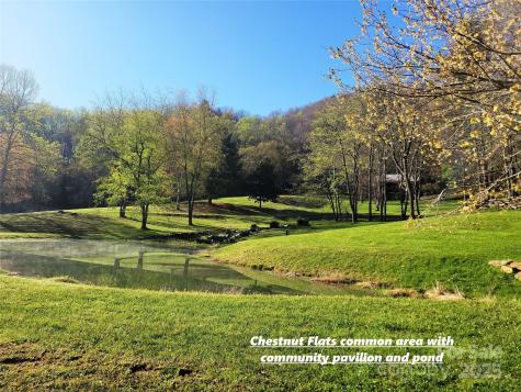 111 Digging Seng Trail Waynesville NC 28785