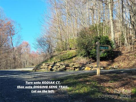 111 Digging Seng Trail Waynesville NC 28785