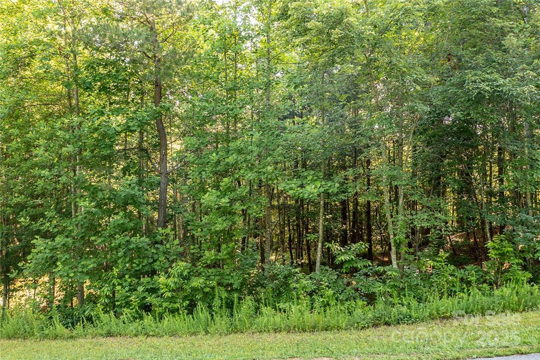4852 Rio De Luna Drive Hickory NC 28601