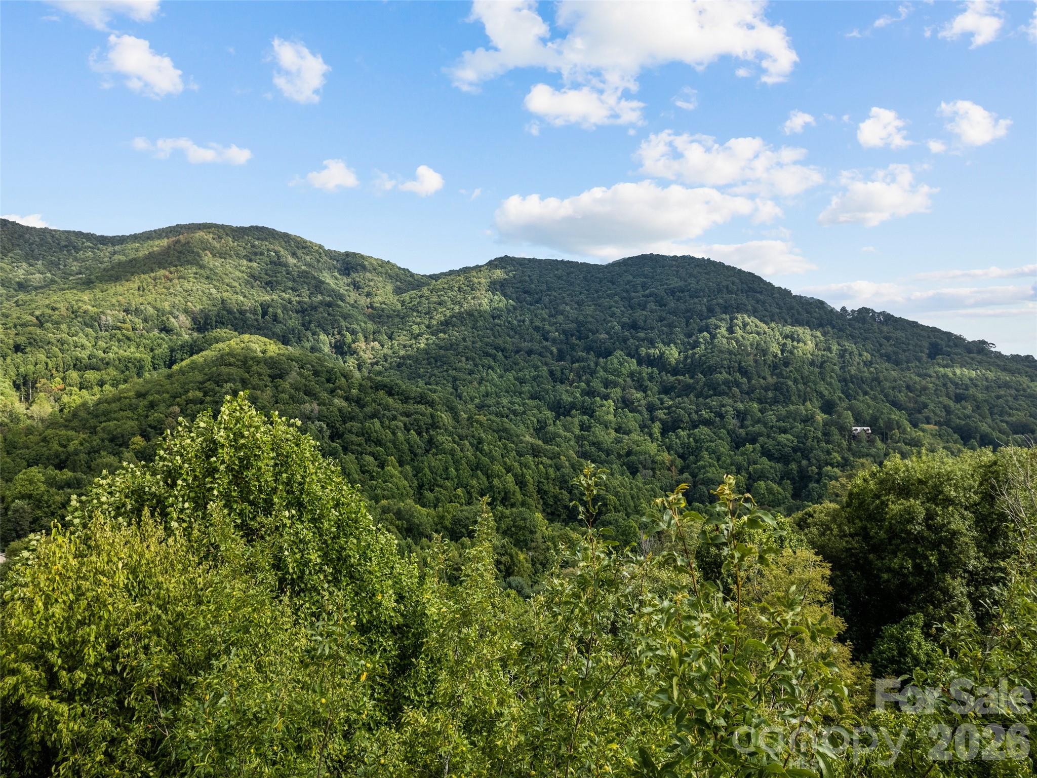 Lot 12 Bow N Arrow Cove Waynesville NC 28785