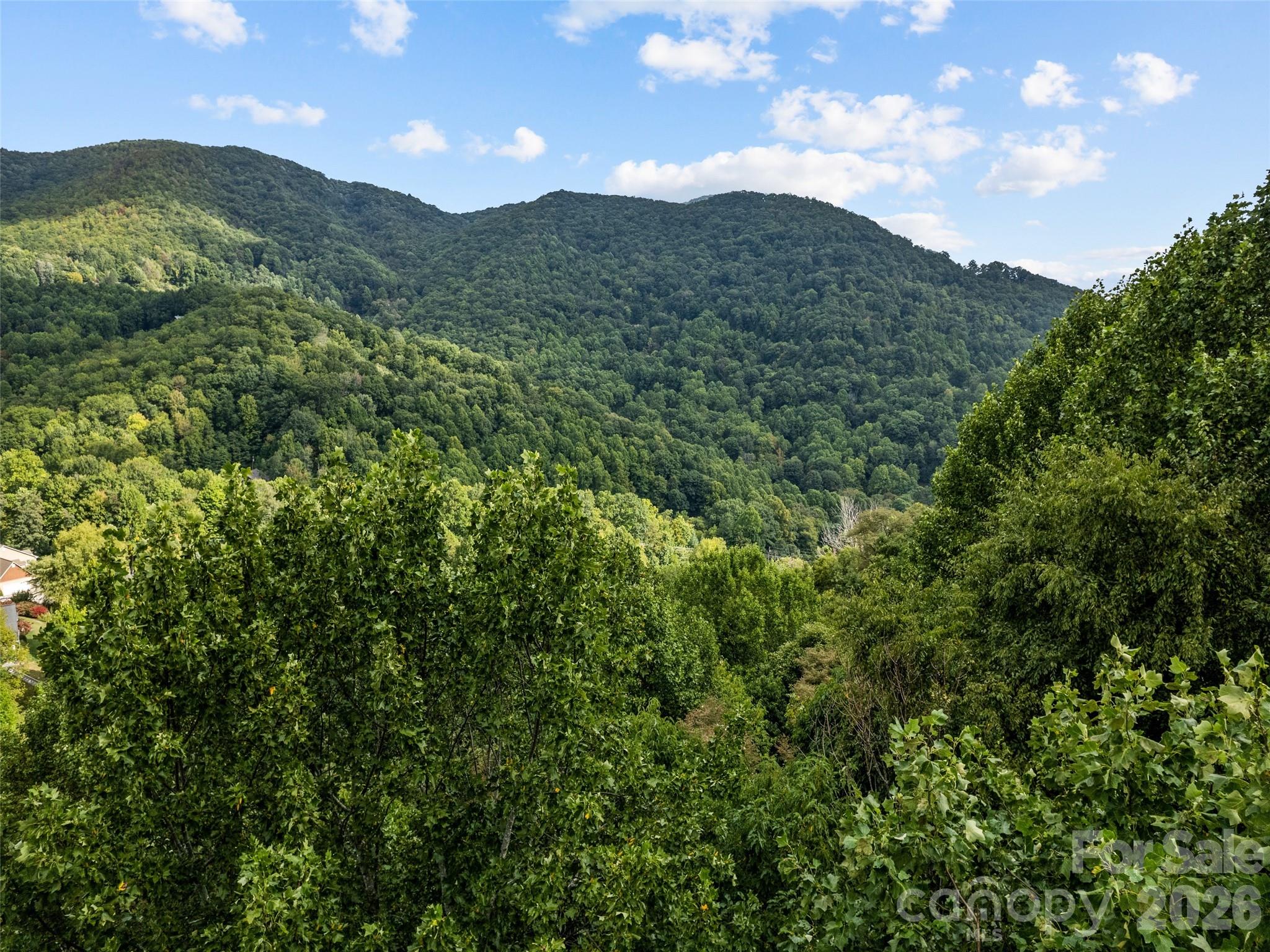 Lot 12 Bow N Arrow Cove Waynesville NC 28785