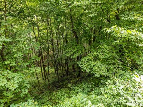 Lot 12 Bow N Arrow Cove Waynesville NC 28785