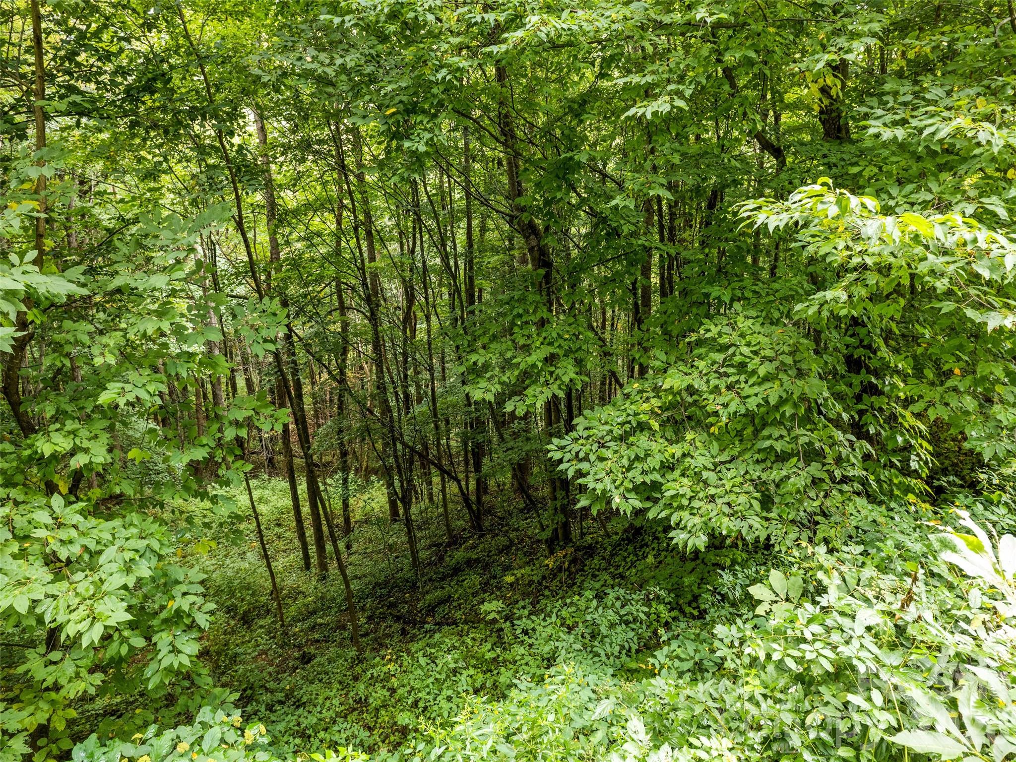 Lot 12 Bow N Arrow Cove Waynesville NC 28785