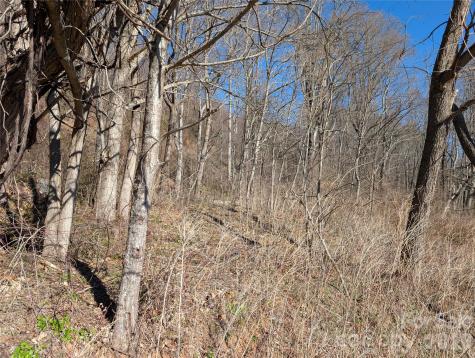 00 Great Smoky Mountain Expy Highway Waynesville NC 28786
