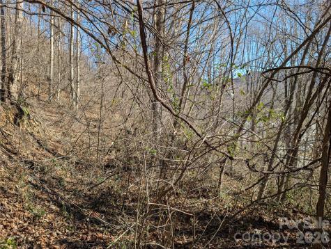 00 Great Smoky Mountain Expy Highway Waynesville NC 28786