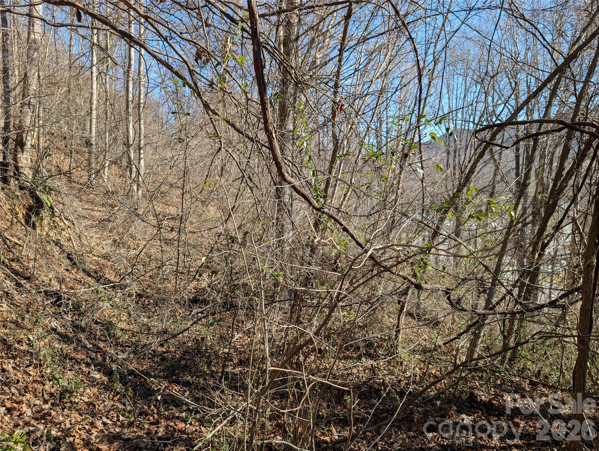 00 Great Smoky Mountain Expressway Highway Waynesville NC 28786