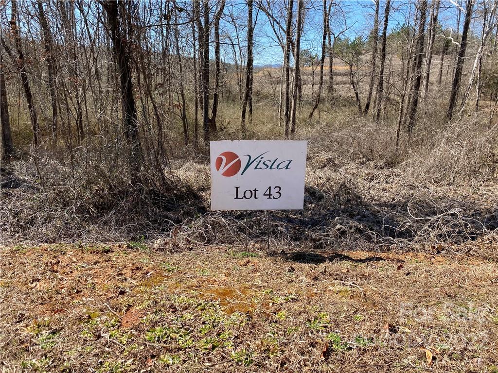 000 Bridge Lane Tryon NC 28782