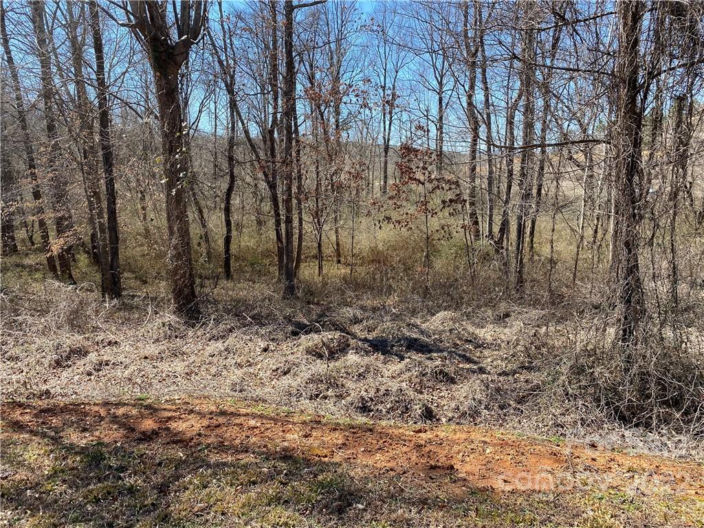 000 Bridge Lane Tryon NC 28782