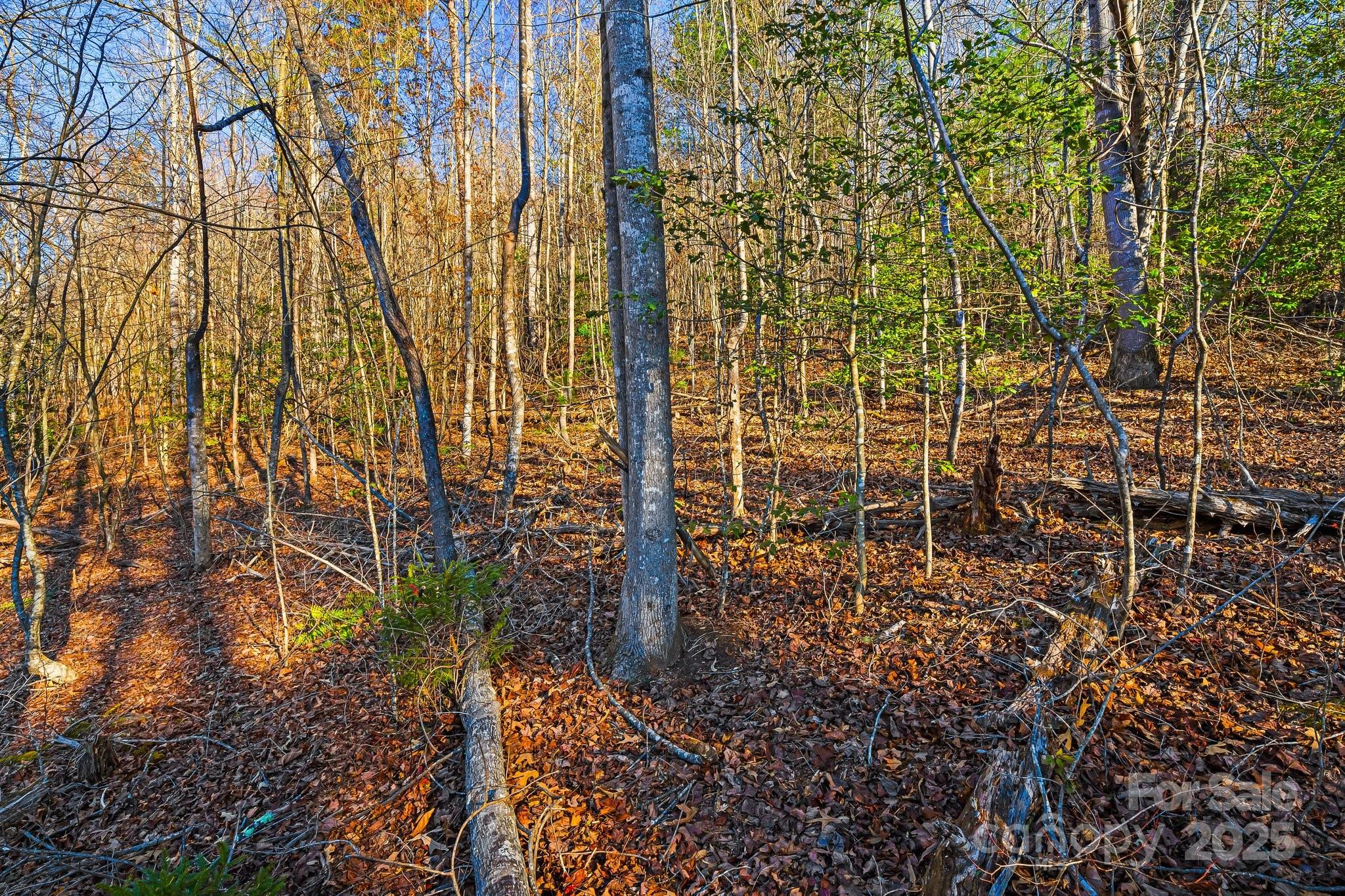 99999 Willow Creek Drive Asheville NC 28803