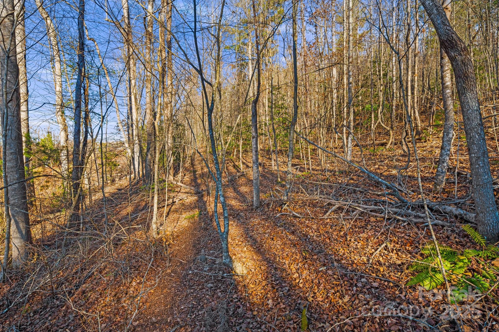 99999 Willow Creek Drive Asheville NC 28803