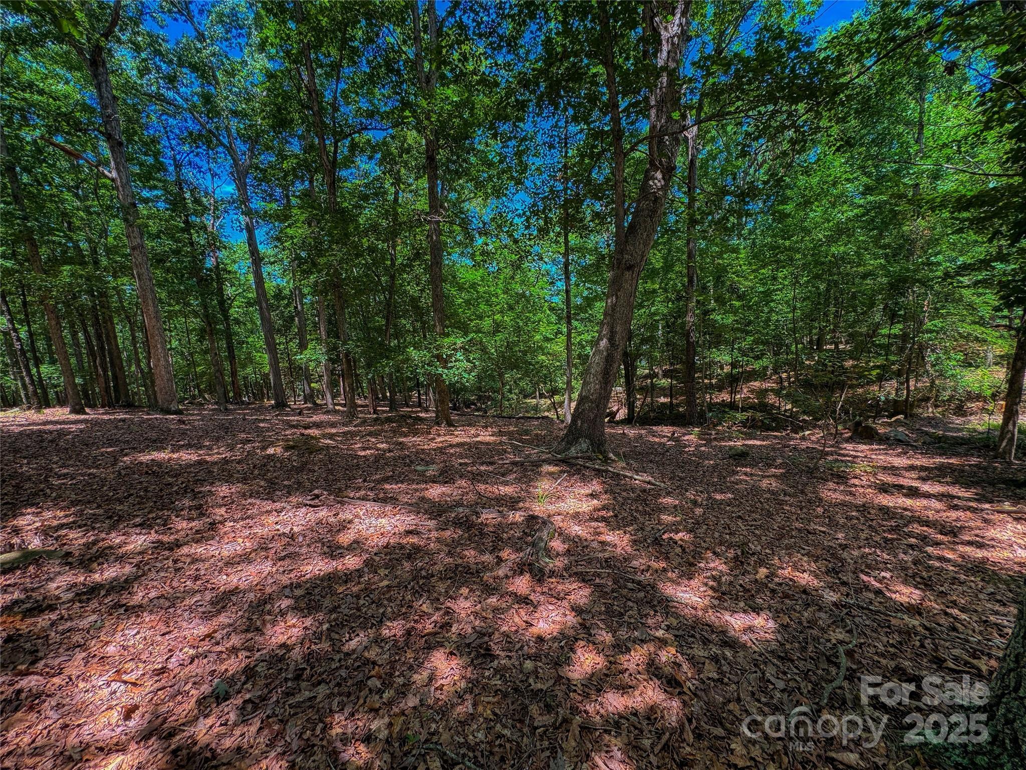 1560 Rocky Cove Lane Denton NC 27239