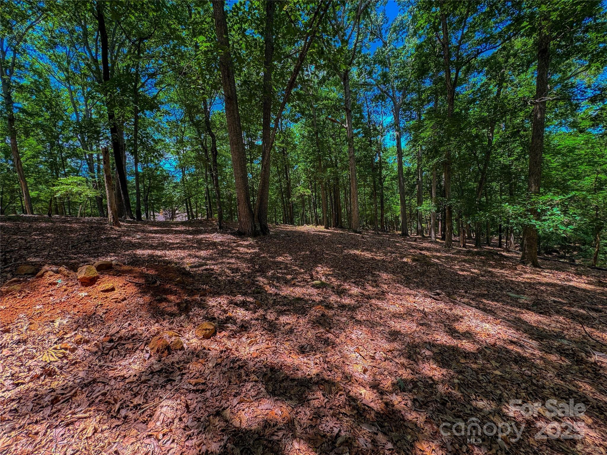 1560 Rocky Cove Lane Denton NC 27239