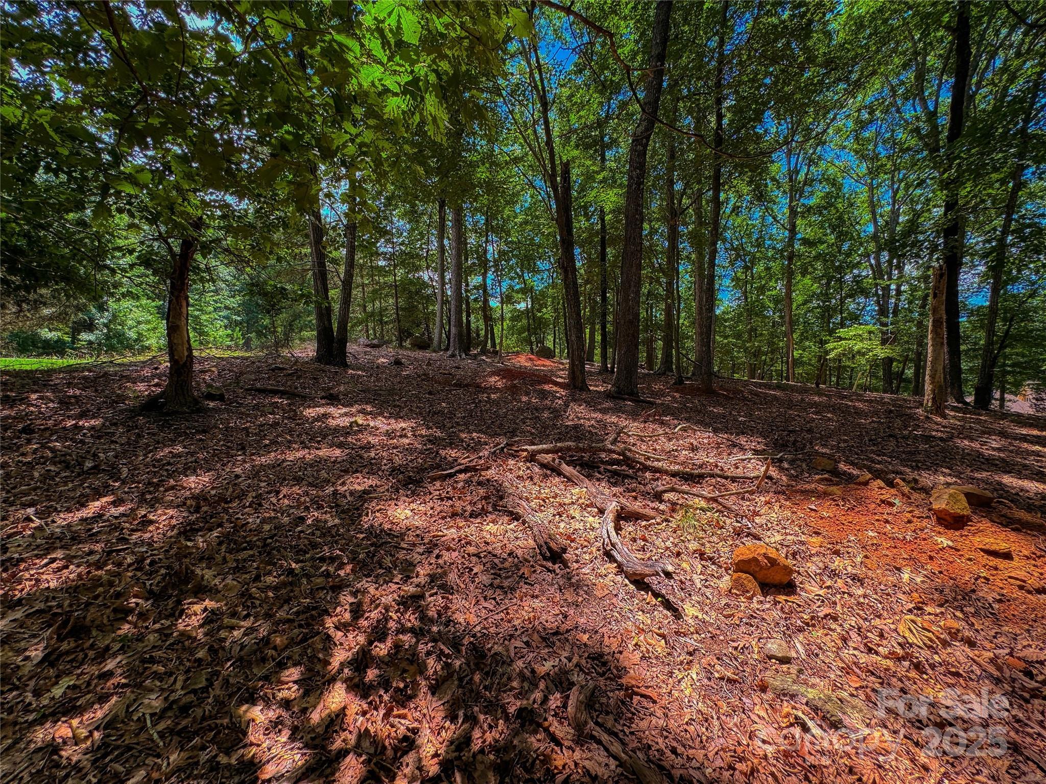 1560 Rocky Cove Lane Denton NC 27239