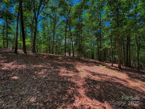 1560 Rocky Cove Lane Denton NC 27239